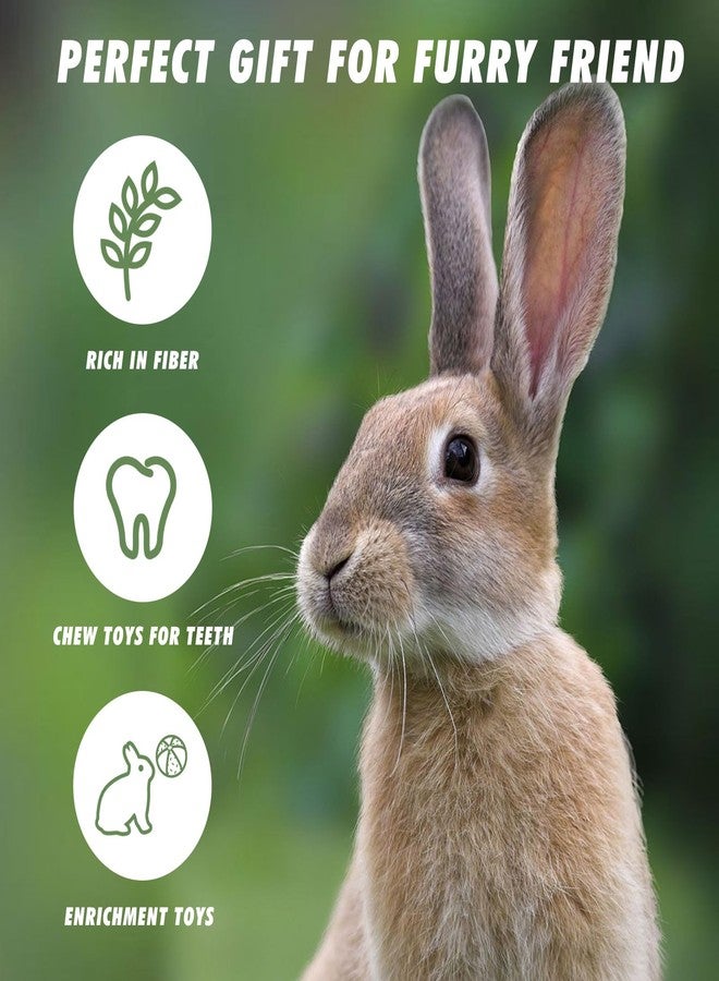 MHLLGN 12 Pack Timothy Hay Treats, Timothy Hay Cubes and Chips, Natural Chew Toys for Teeth, Chewing Stuff for Bunny, Hamster, Guinea Pig, Chinchilla, Rabbit, and Other Small Animals - Image 4